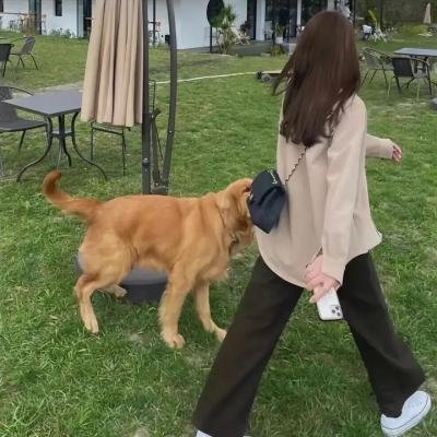 天下父母